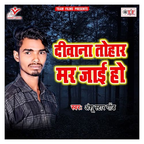 Diwana Tohar Mar Jai Ho cover art