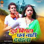 Dui Bigha Dhan Nahi Davila