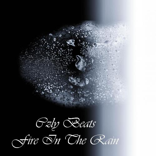 Fire in the Rain cover art