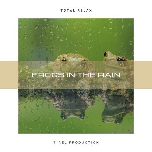 Frogs In The Rain