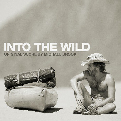 Into the Wild (Original Score)_poster_image