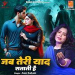 Jab Teri Yaad Satati Hai