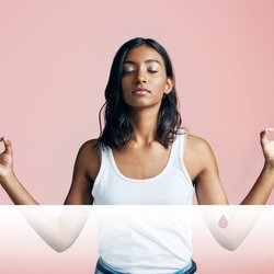 Oiseaux et Mer Sans Limites