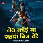 Mera Koi Na Sahara Bin Tere