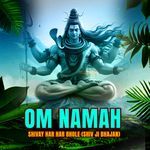 Om Namah Shivay Har Har Bhole Shiv Ji Bhajan
