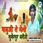 Pabuji Ro Melo Sumerpur Bharije