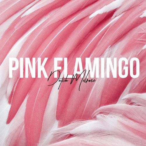 Flamingo Song Cover