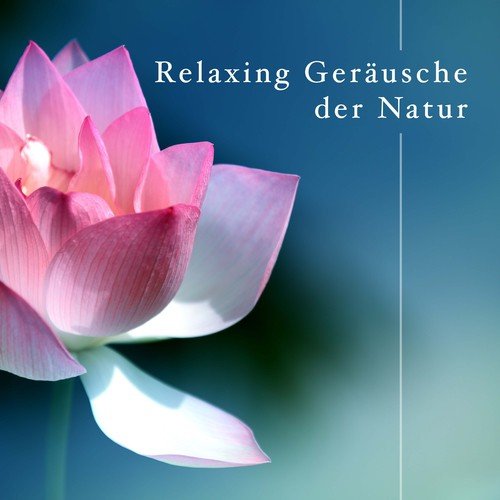 Relaxing Geräusche der Natur mit weißem Rauschen für Achtsamkeit Meditation und Entspannung_poster_image