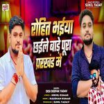 Rohit Bhaiya Chhaile Bade Pura Prarkhand Me