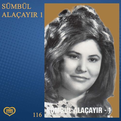 YÜCELERDEN SEYRAN EYLEDİM. cover art