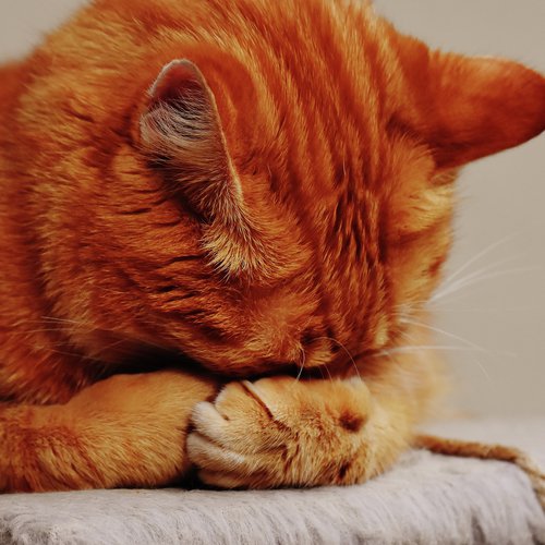 Serenity New Age Music