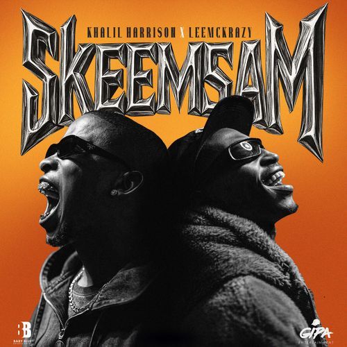 Skeem Sam cover art