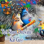 Teri Shaan Deewana Kar Gayi