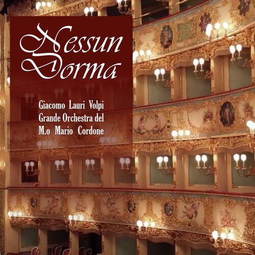 Turandot, SC 91: Nessun Dorma