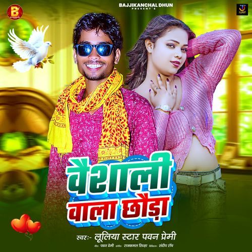 Vaishali Wala Chhauda