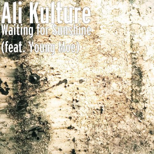 Waiting for Sunshine (feat. Young Moe)