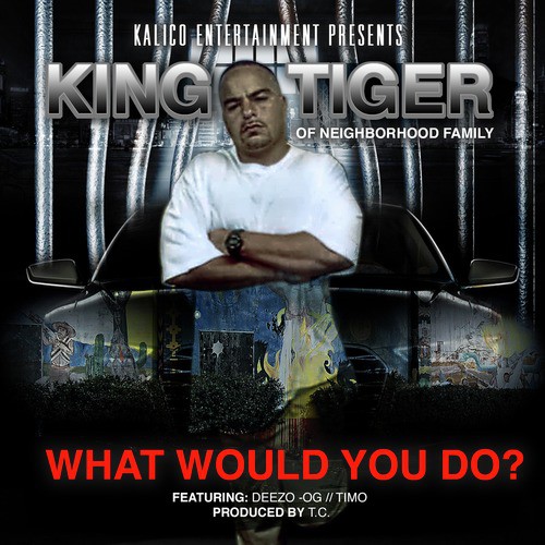 What Would You Do? (feat. Deezo &amp; Timo)_poster_image