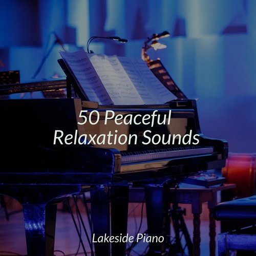 50 Peaceful Relaxation Sounds