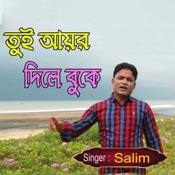 তুই আয়র দিলে বুকে-Mh0xVDMGZmI