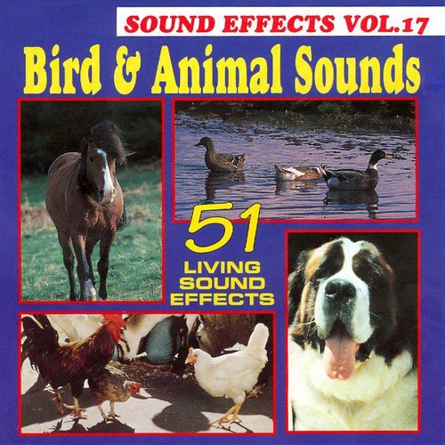 Bird & Animal Sounds