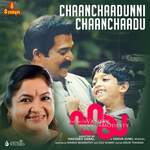 Chaanchaadunni Chaanchaadu (From &quot;Haya&quot;)