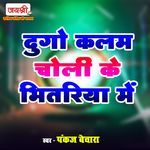 Du Go Kalam Choli Ke Bhitariya