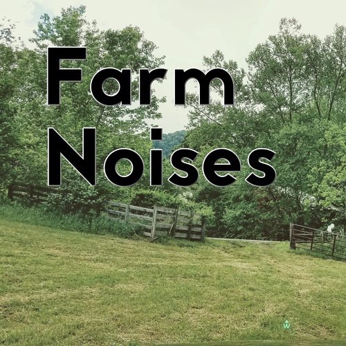 Farm Animal Sound - Song Download from Farm Noises @ JioSaavn Farm Animal Sound - Song Download from Farm Noises @ JioSaavn