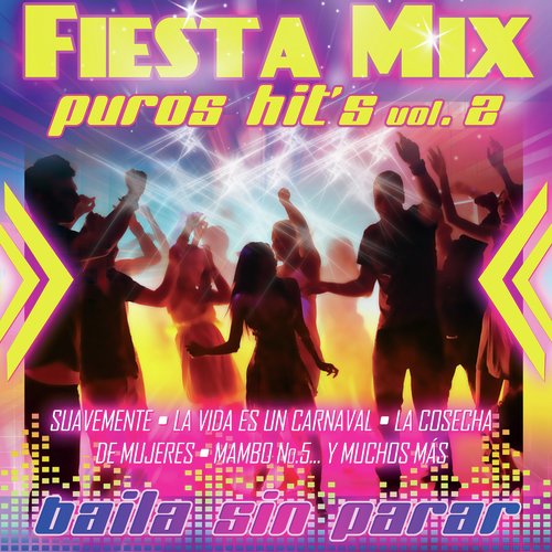 Fiesta Mix Vol. 2