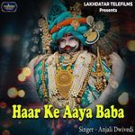 Haar Ke Aaya Baba