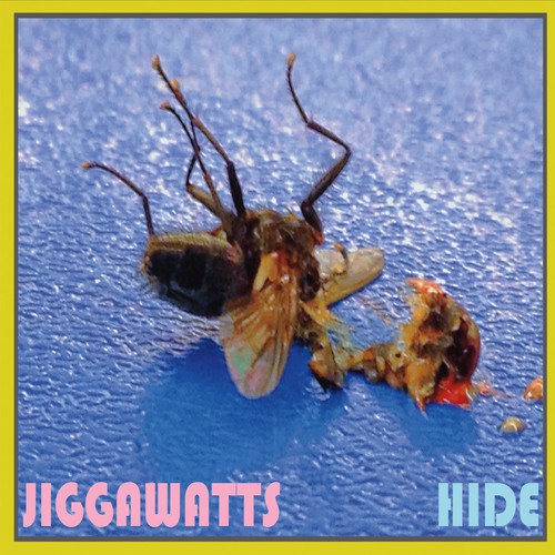 Jerms cover art