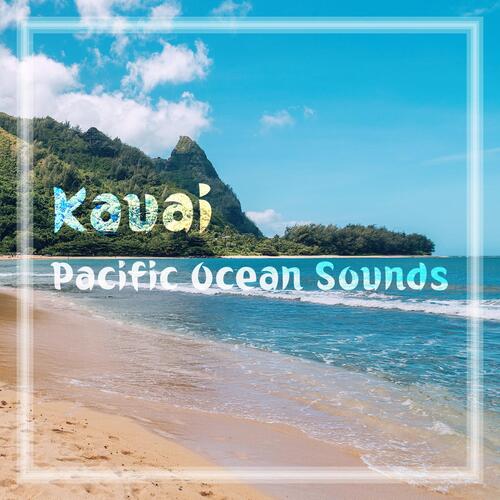Calm Zone cover art