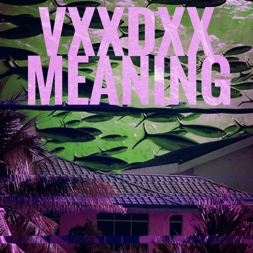 Meaning cover art