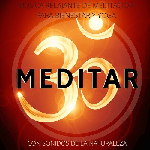 Meditar - Musica Relajante de Meditacion para Bienestar y Yoga con Sonidos de la Naturaleza para Descansar
