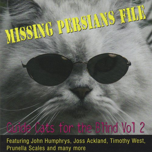The Stealth Comma cover art
