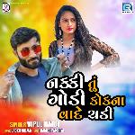 Nakki Tu Godi Kokna Vade Chadi