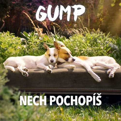 Nech pochopíš (From "Gump")