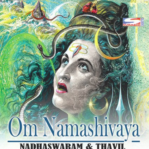 Om Namashivaya