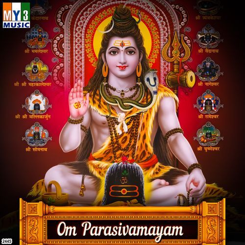 Om Parasivamayam