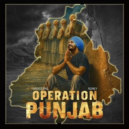 Operation Punjab