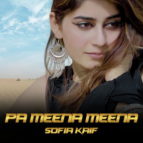 Pa Meena Meena_poster_image