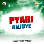 Pyari Anjuye