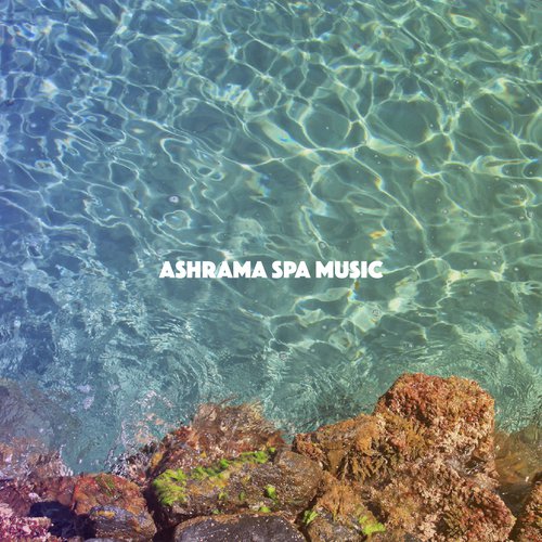 Relax Meditate Sleep