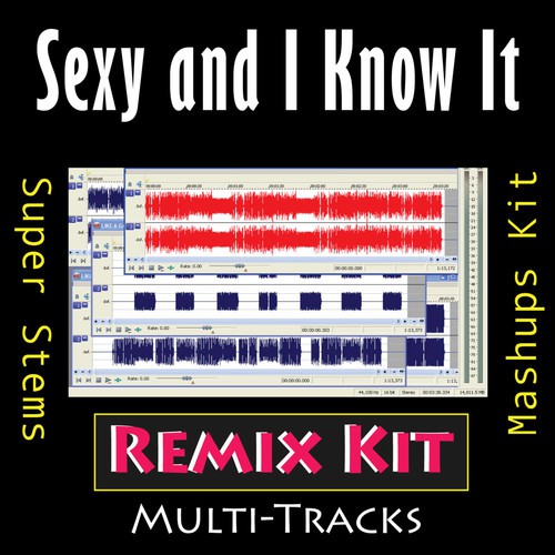 Sexy and I Know It (Remix Kit)_poster_image