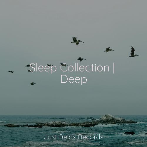 Sleep Collection | Deep