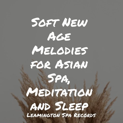 Soft New Age Melodies for Asian Spa, Meditation and Sleep
