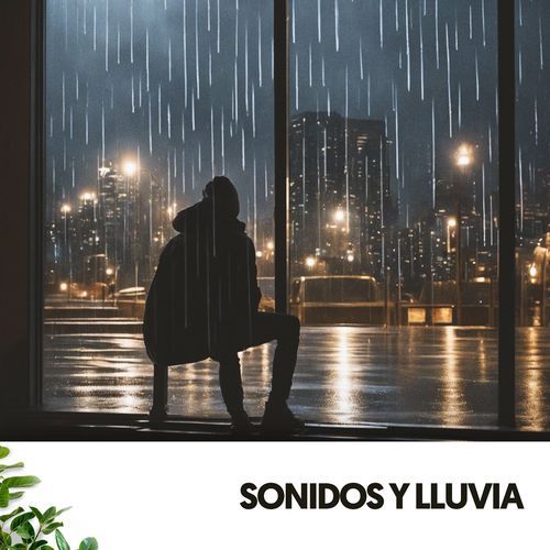 Sonidos y Lluvia: Serenata de la naturaleza_poster_image