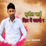 Sunil Bhai Dil Me Basgo Re artwork