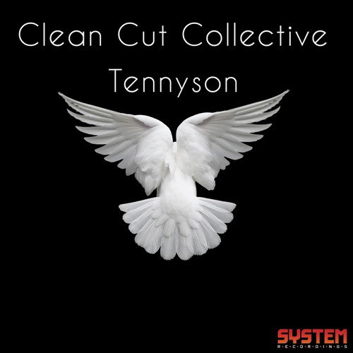 Tennyson cover art