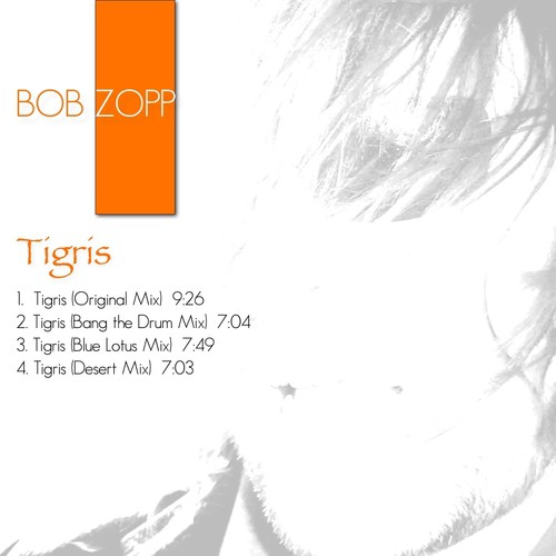 Tigris (Bang the Drum Mix) cover art