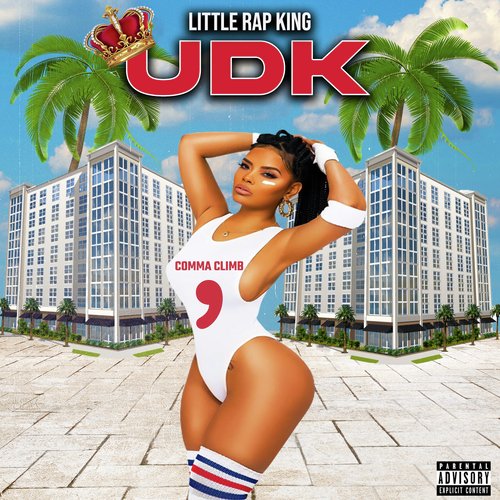 UDK cover art